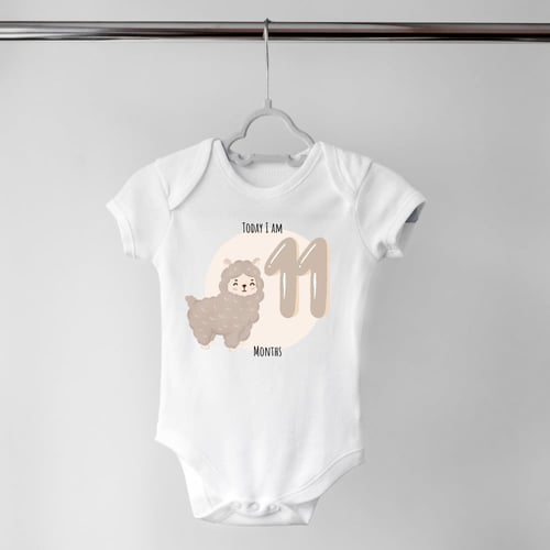 Set of 12 - Animals (2)