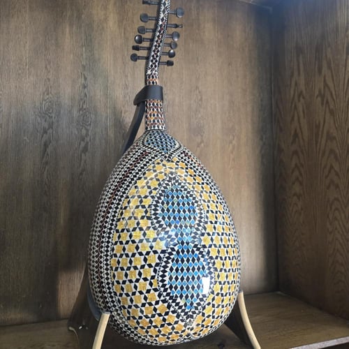 عود شرقي صدف كامل