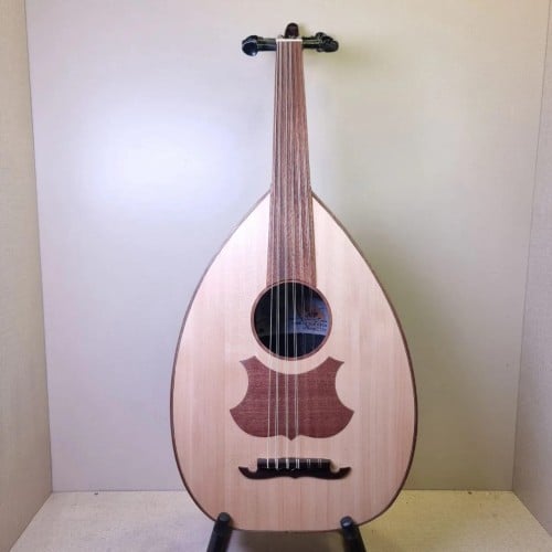 عود مديل عراقي