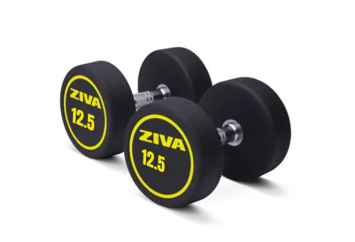 طقم دمبل (أثقال) مطاطي من زيفا 12.5 كجم