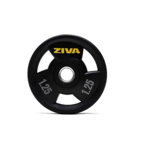 أقراص الوزن من مطاط البكرSL من زيفا 1.25 كجم