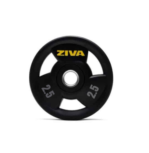 أقراص الوزن من مطاط البكرSL من زيفا 2.5 كجم