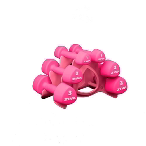 مجموعة دمبل استوديو زيفا 12 كيلوجرام (أزواج 1 و 2...