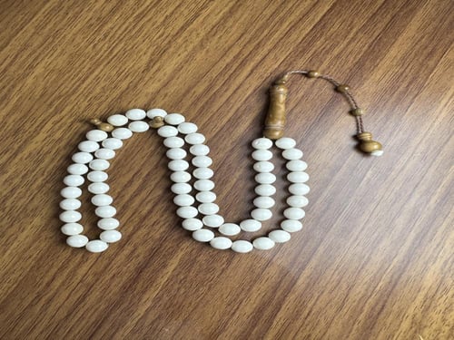 عضم جمل تمليكة كوك