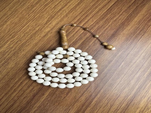 عضم جمل تمليكة كوك