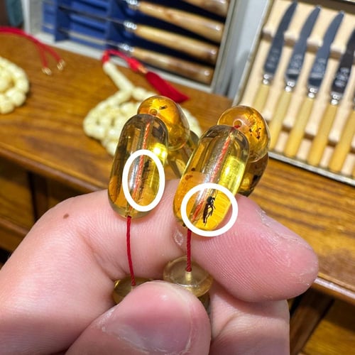 كهرمان محشر طبيعي