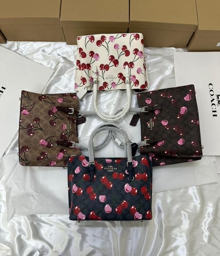 شنطة كوتش عصرية