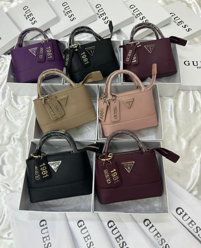 شنطة جيس الانيقة