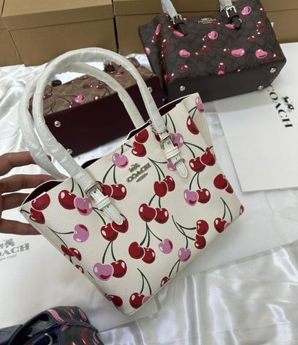 شنطة كوتش عصرية