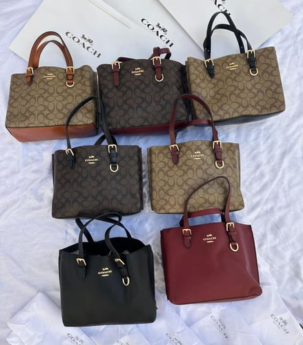 شنط كوتش الأيقونية