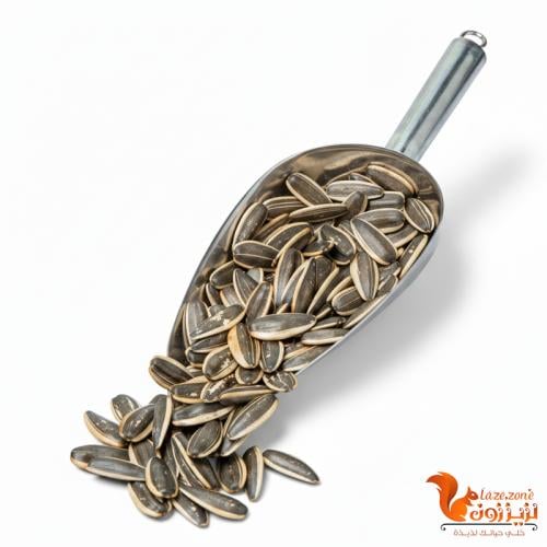 دوار شمس مالح