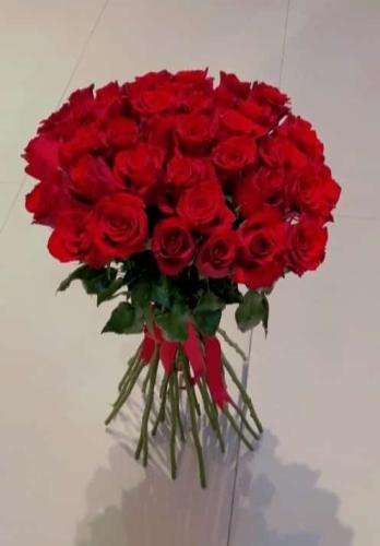 Red Rose of Jouri