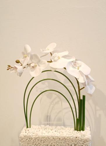Clear plate 30×10 with stone with semi-spadium