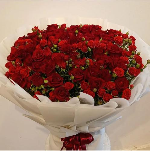 Red jasmine with baby pink red, white packaging