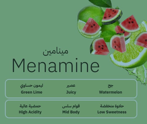 ريميدي - مينامين