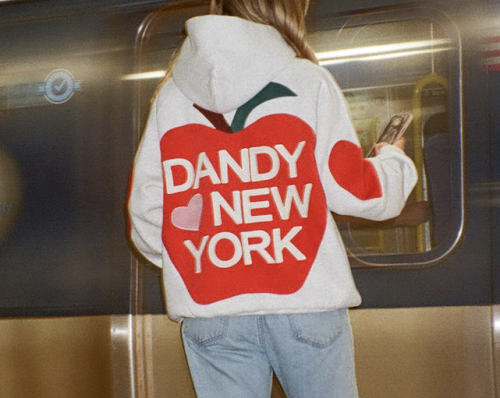 DANDY NY OVERSIZED BIG APPLE HOODIE