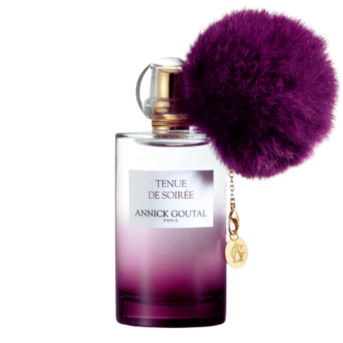 عطر انك جوتال تينو دي سويريشي او دو بارفيوم-100مل