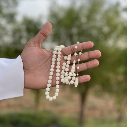 مسباح من افياش امريكية