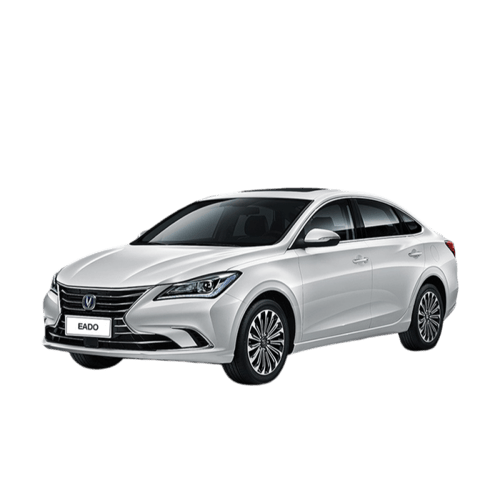 بخاخ البنزين ايدو - EADO FULE INJECTOR