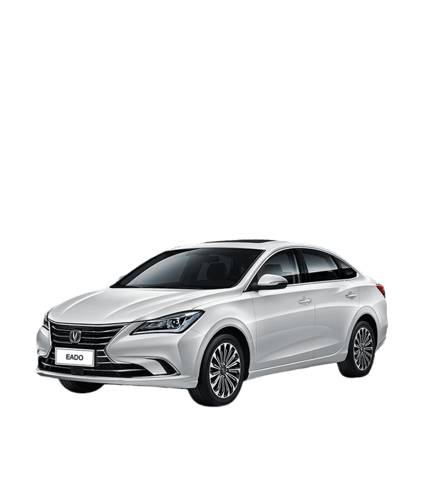 طرمبة بنزين ايدو - EADO FUEL PUMP