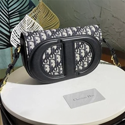 شنطة ديور سي دي سينيشر