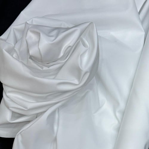 طاقة الشيوخ ياباني رسمي