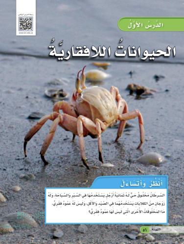 الحيوانات اللافقارية
