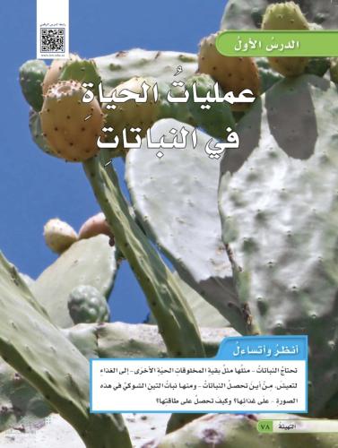 عمليات الحياة في النباتات