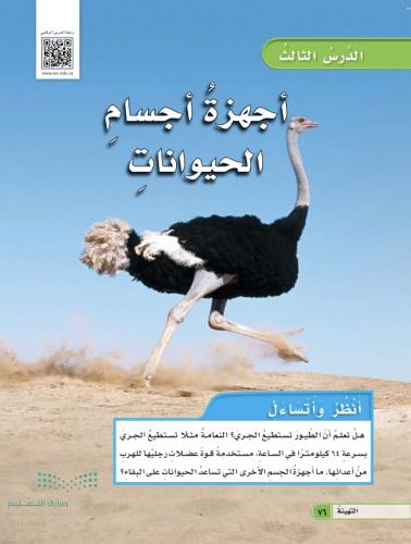 أجهزة أجسام الحيوانات