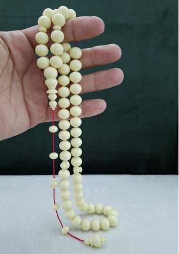 مسباح ضومنه ذروي