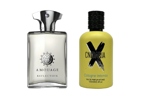 Cnidaria X Cologne Intense Samam