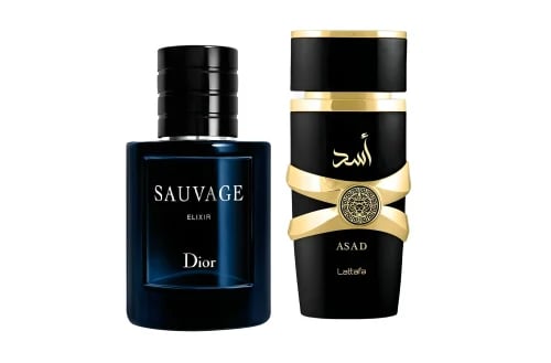 أسد - ASAD
