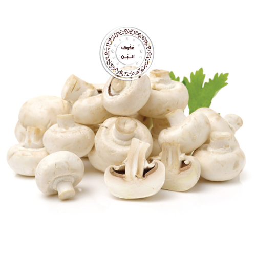 فطر ابيض ( صحن )
