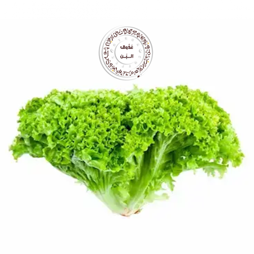 خس امريكي ( علبه )
