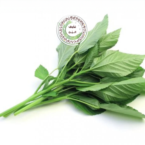 ملوخية خضراء ( حزمة )