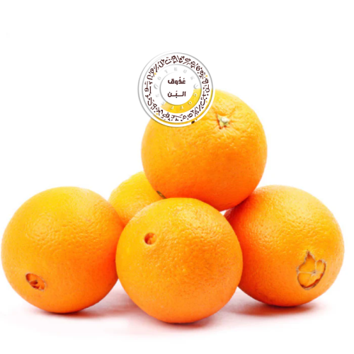 برتقال سرة أفريقي ( نص كيلو )