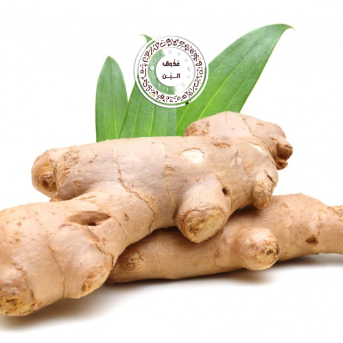 زنجبيل اخضر ( نص كيلو )