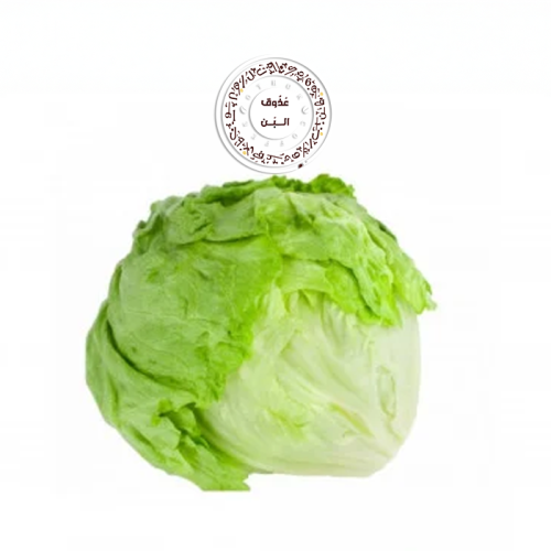 خس مصري ( حبه )