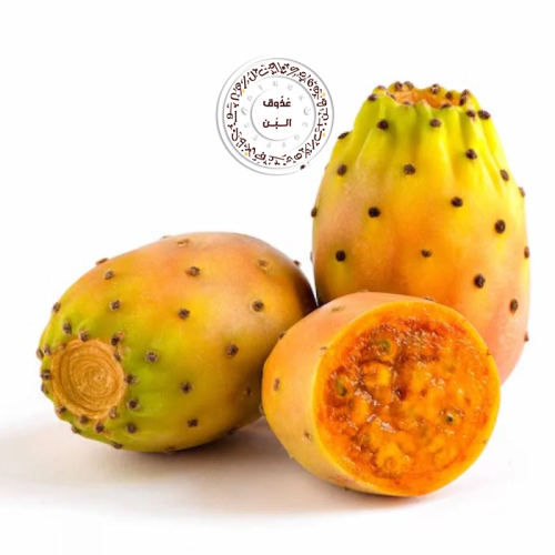 برشومي ( علبه )