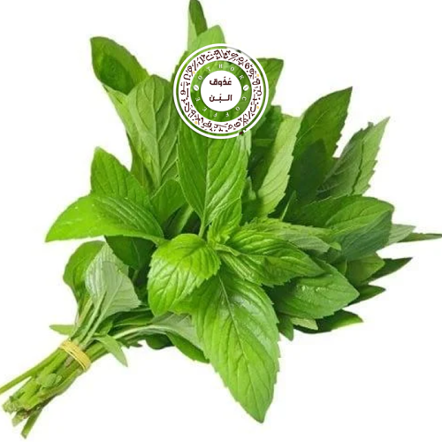 نعناع حساوي -حبق ( حزمتين )