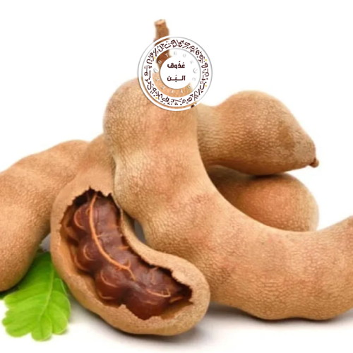 تمر هندي ( علبه )