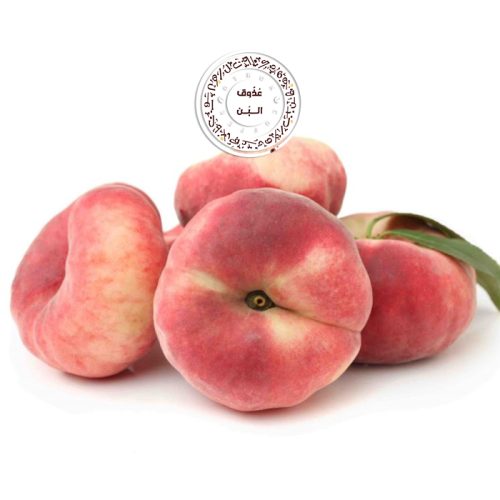 كعب الغزال ( علبة )