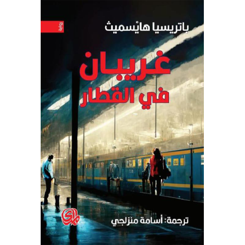 غريبان في القطار