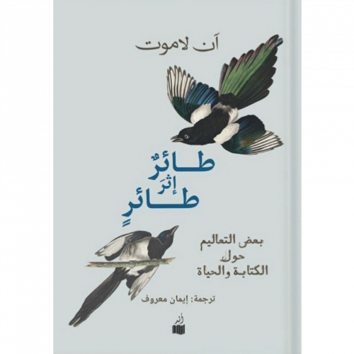 طائر إثر طائر