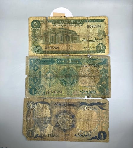 11 قطعة عملة السودان متنوعة x2