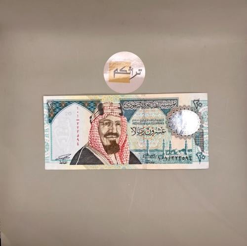 عشرين الملك فهد (المئوية) مستخدمه تقسيم 101