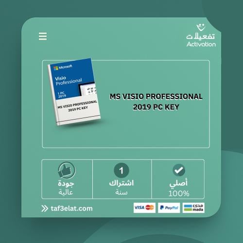 MS VISIO PROFESSIONAL 2021 PC KEY