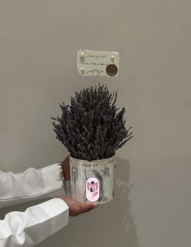 فازة لافندر