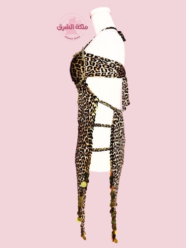 بدلة رقص التايجرة المسيطرة