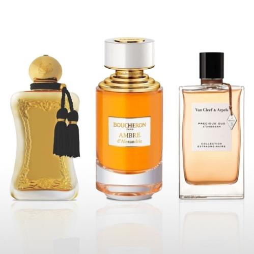 مجموعة سدكشن